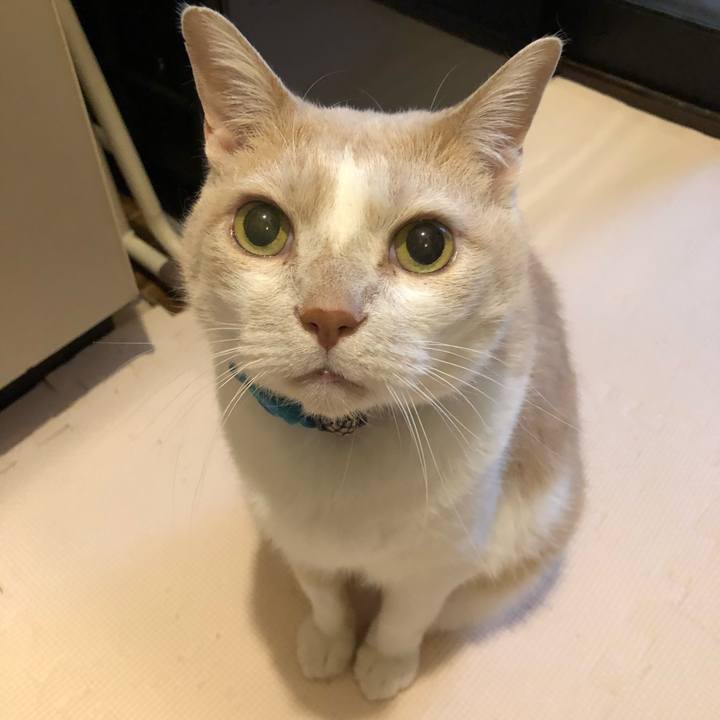 F7a828d0 8dc9 4727 a34e 1ead3fbb8ba9 1614657133400