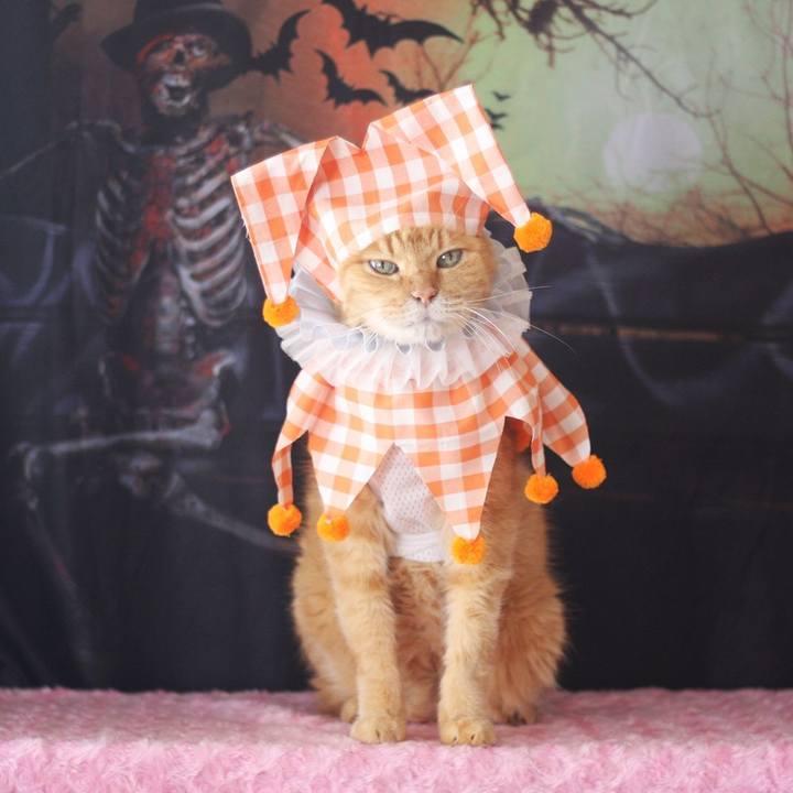 F7a82afd 2032 43ba a30f 1b6dbbf858be 1695887745788