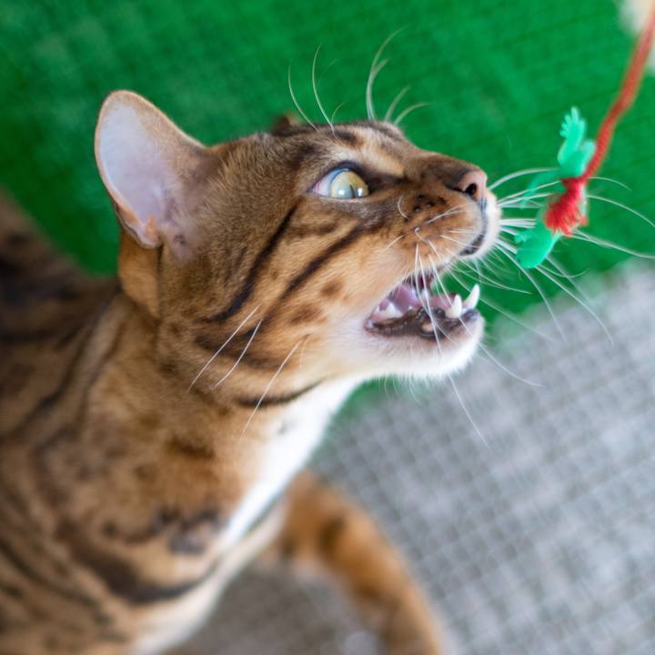 F7a865bd 26e6 47b8 80fc 572d77283e19 1518439749124