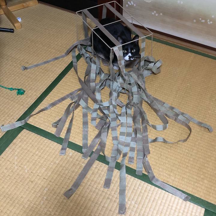 F7a8692e d2aa 44d6 b059 a19997946ad7 1553226680537