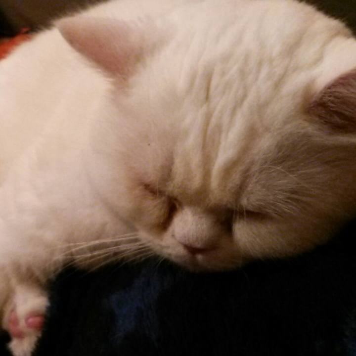 F7a87995 2b79 4c49 ad84 eecfaad444f6 1520753670752