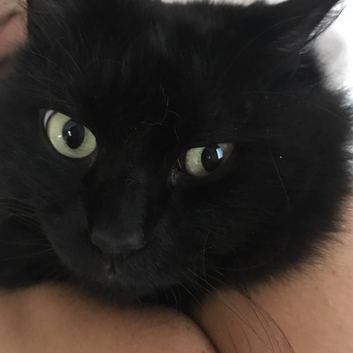 F7a87f17 fabc 46c4 81b2 da7ca50f2119 1534203622778