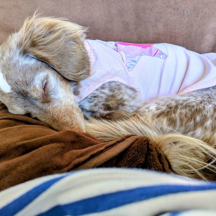 F7a89802 e322 450e a312 b42b9f0989da 1773633637564