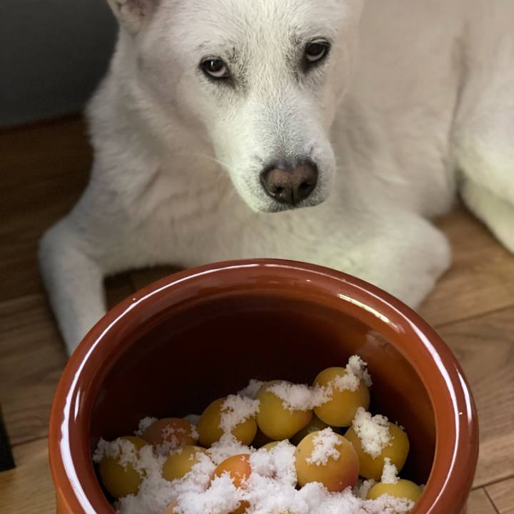 F7a8ac88 3fc2 4a7e 9050 6f48085221bb 1654307932622