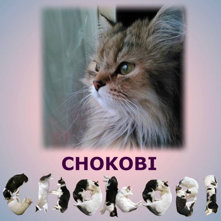 F7a8af47 0db6 4fe5 8ca0 b11a5838df4e 1669603122306