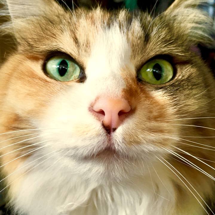 F7a8b20d 4194 485e 841e 99d60628efea 1556919824956