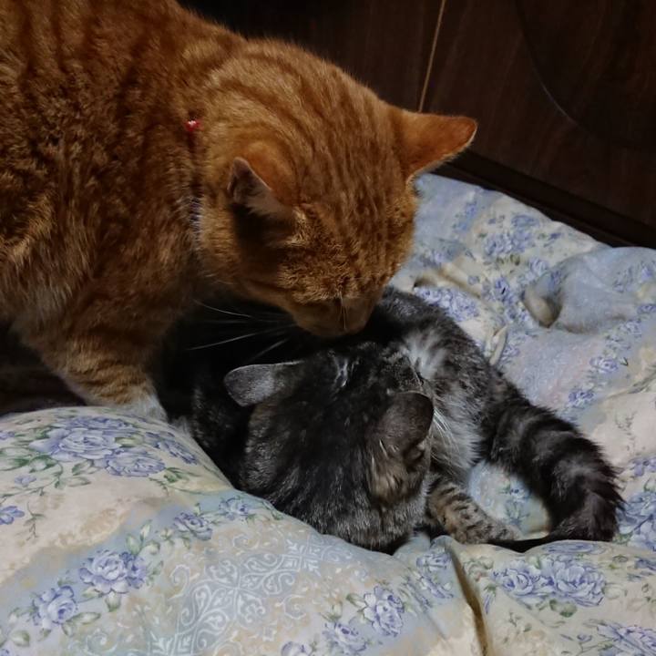 F7a8ddf8 f751 4d50 923d 6801cfd7b9c2 1578829940456