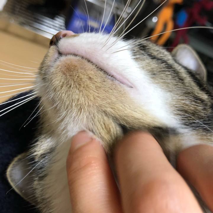 F7a8e06c 05ec 4d95 8b8b c23795488147 1518712009806