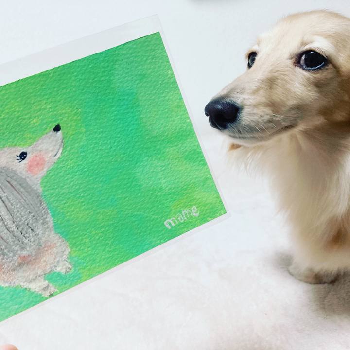 F7a9026e 8ee6 4f5f ab70 bb7cde737f13 1664604699900