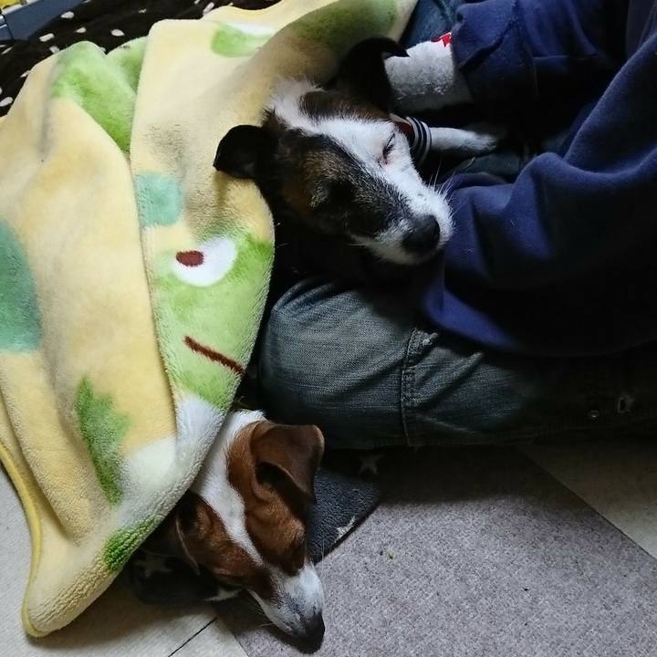 F7a93e04 d2f6 4b30 9bd7 2e4b8c103013 1577685200867