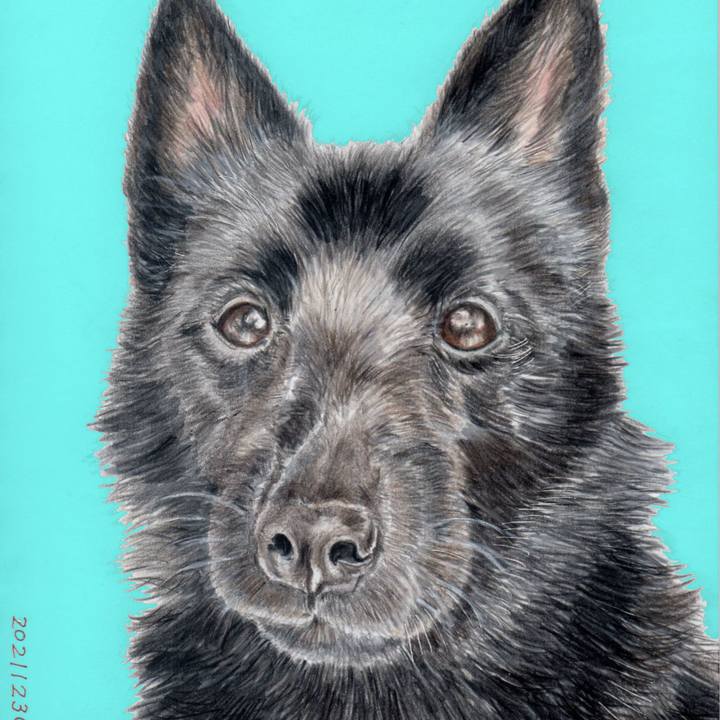 F7a98a6a f39e 48e1 9157 6fbe64dd8521 1640851872932