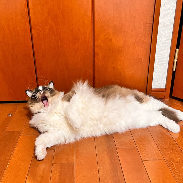 F7a99e5f 82b2 4853 bc36 9b9273eba349 1657950225323