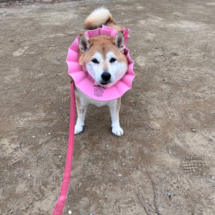 F7a9cafa 9037 4367 b596 71fabdfb008c 1705716876827