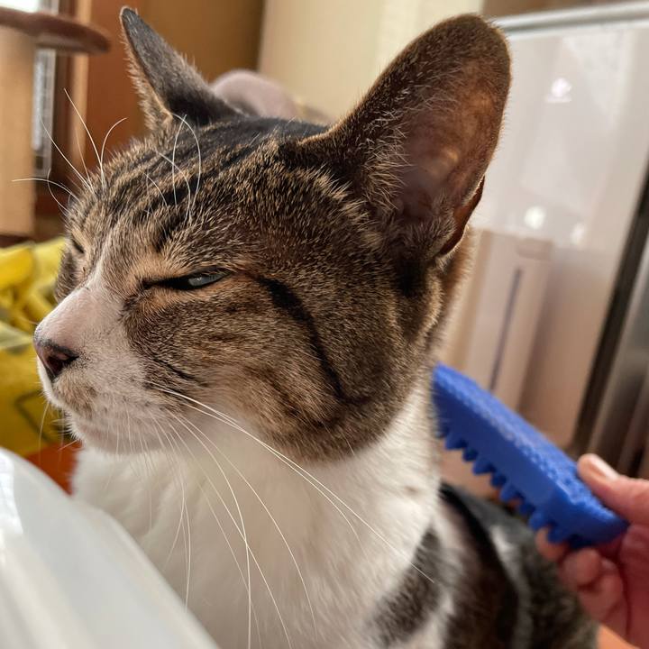 F7a9dbaf 0155 4730 8074 6157d8cb2f23 1609030603810