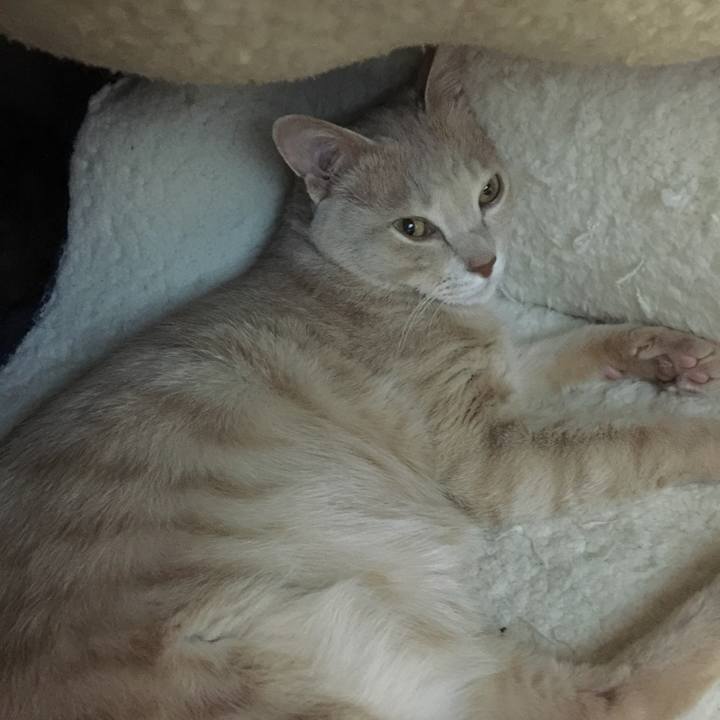 F7a9e1bf 96ea 4fe0 8d4d 46cbe14ca3d4 1549946611429