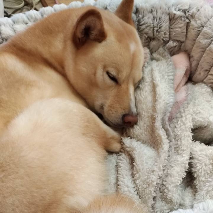 F7a9e9b5 db2b 4d9a b042 60069aefd2b2 1582069905462