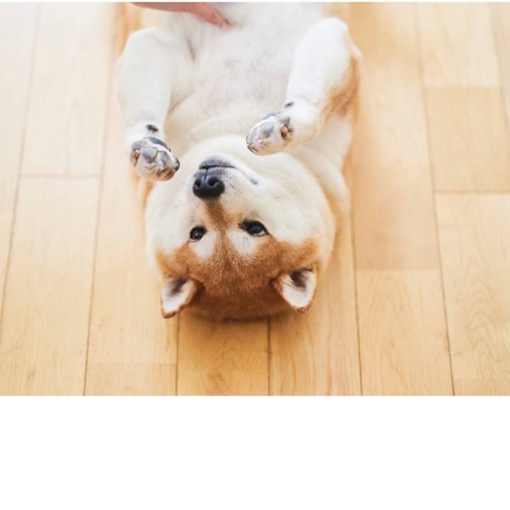 F7aa3080 1b9c 488a 8237 78b70680ee87 1688299006464