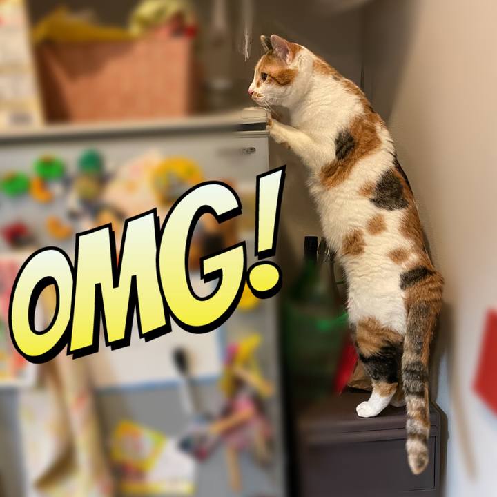 F7aa626d d0eb 4e4f 86e5 d0ca30711f17 1611492606150