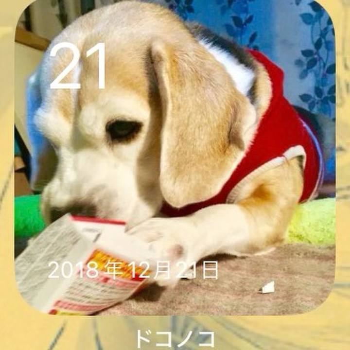 F7aad9a2 8545 4eb3 9e6a 7b1e63a7ef35 1703130507756