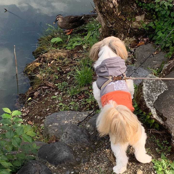 F7aaf07f 7f5e 47a8 bd03 8f0d5a05a8ab 1669555699751