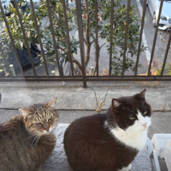 F7ab2ece 14af 4e69 80ec 6f0c28875b7b 1771235853293