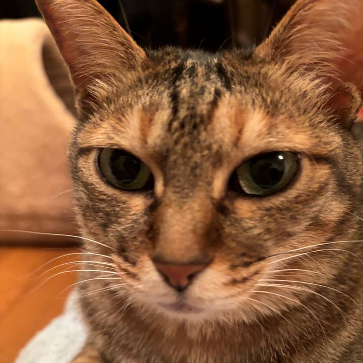 F7ab3d2e b88d 439d adf6 625b55334893 1714219367178