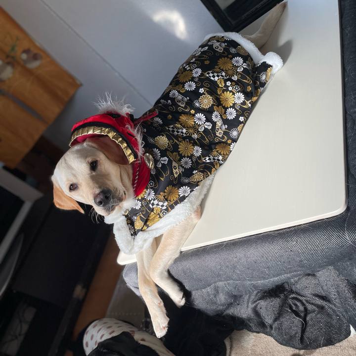 F7ab52c0 7929 473a 91eb 528c1fd83fbf 1641006242985