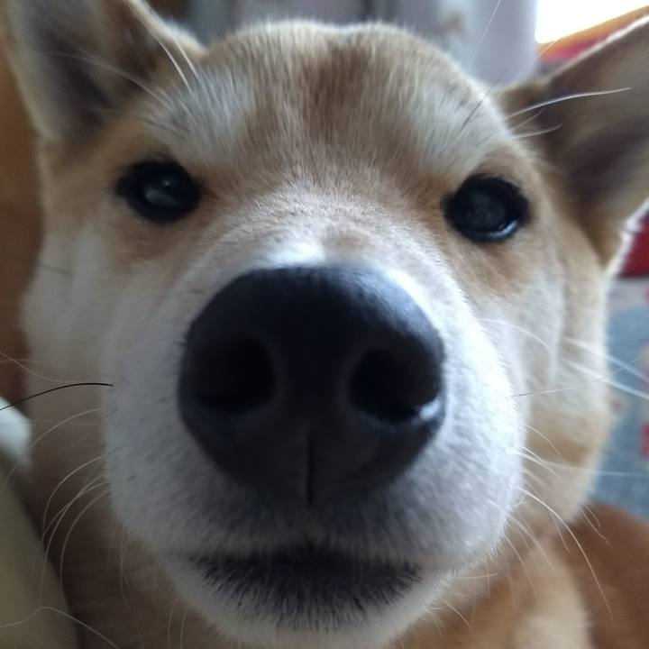 F7ab5cc0 abb0 41b2 a2e1 9b7befae73bb 1523873998254