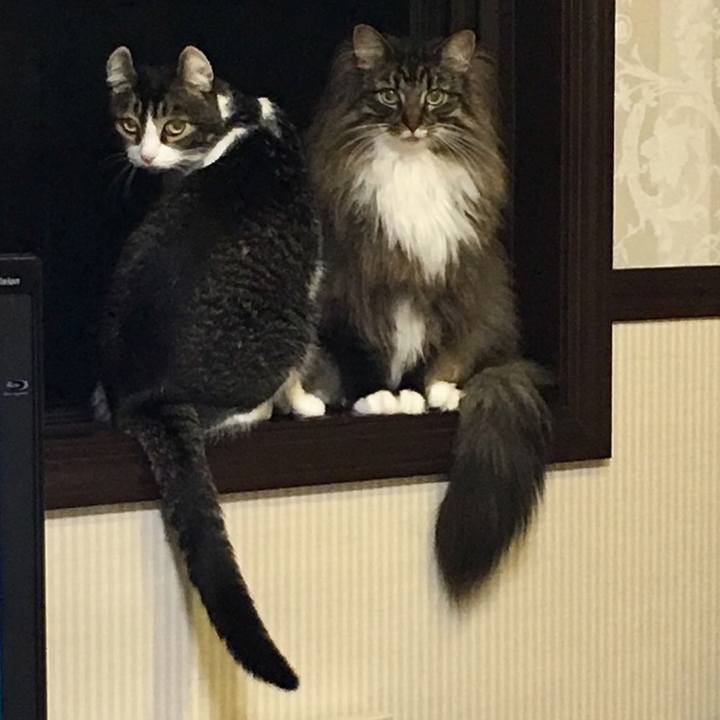 F7ab5d6f 9143 427b 9b0b a81abde8df88 1531032852143