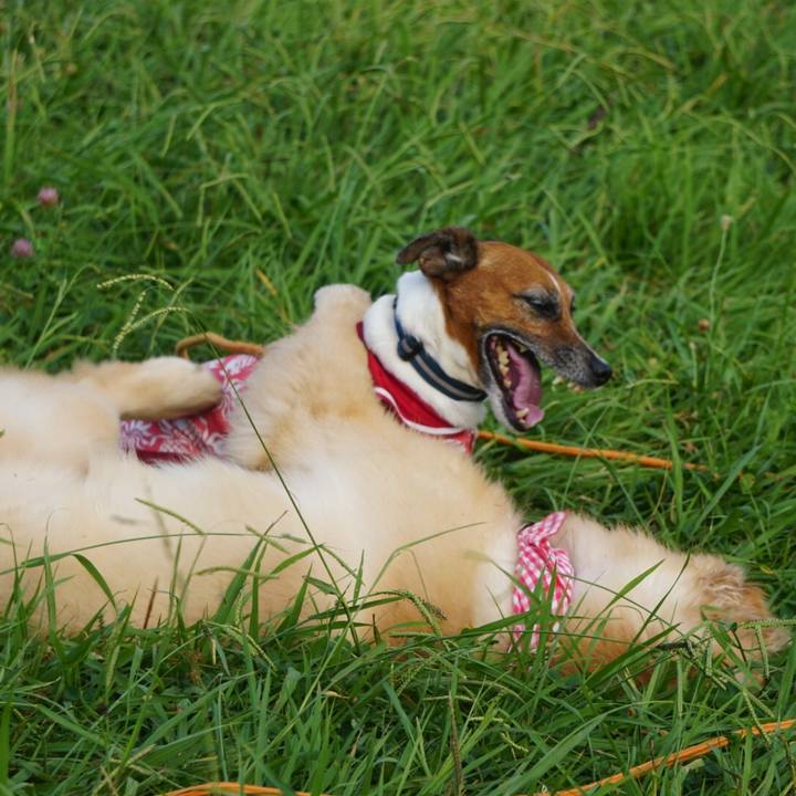 F7ab786b d79d 48ef afba c056a81b5bcc 1597878008379