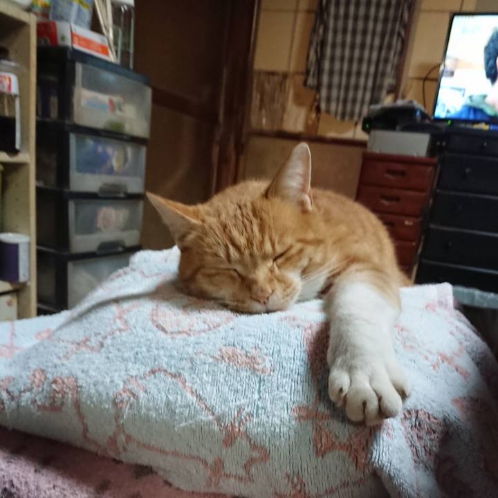 F7abc86b 7619 488b 8e47 d8e7a6ff2a09 1605173700783