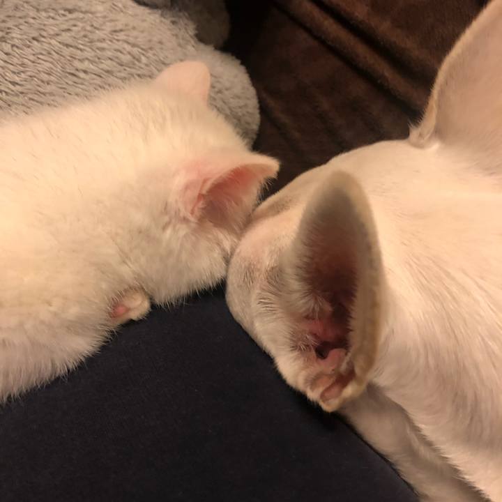 F7ac6c85 9505 47b5 aa5f e61875e50e4d 1544968835407