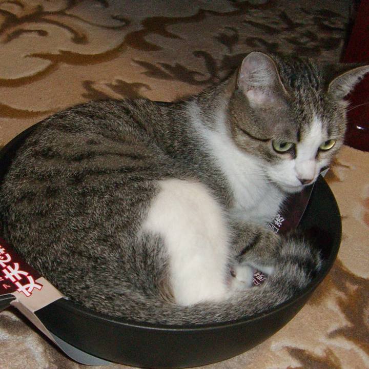 F7ac742f 4a4a 48d7 b34c 06ce5ff44e72 1762469303997