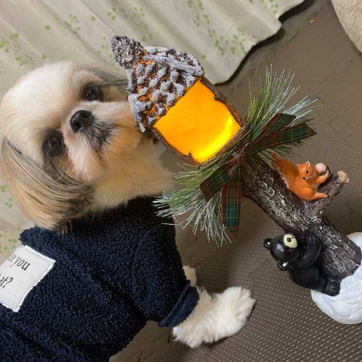 F7ac806d 38b9 4f3f a16e 3000c8f0232d 1636469279091