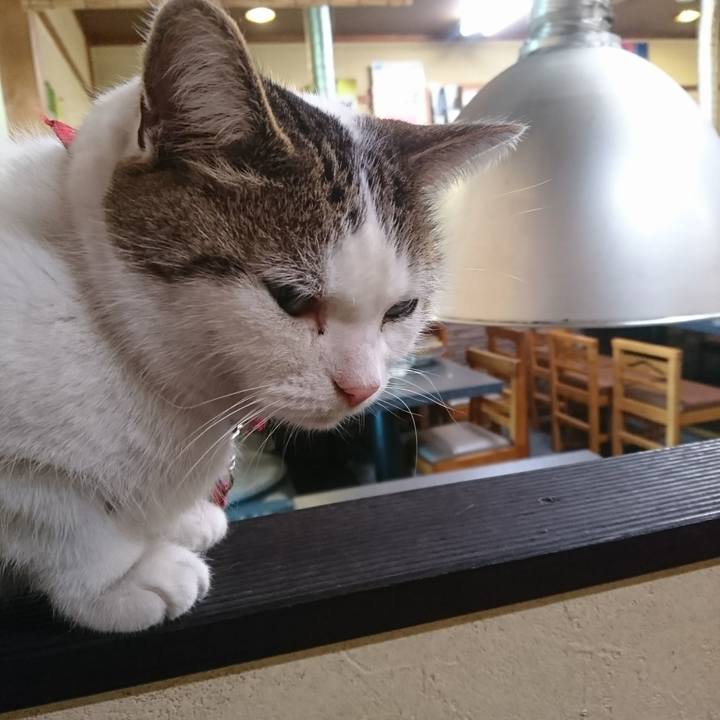 F7ac84a4 acdb 497a 8c2e 2e4fc191c4a2 1542515739154