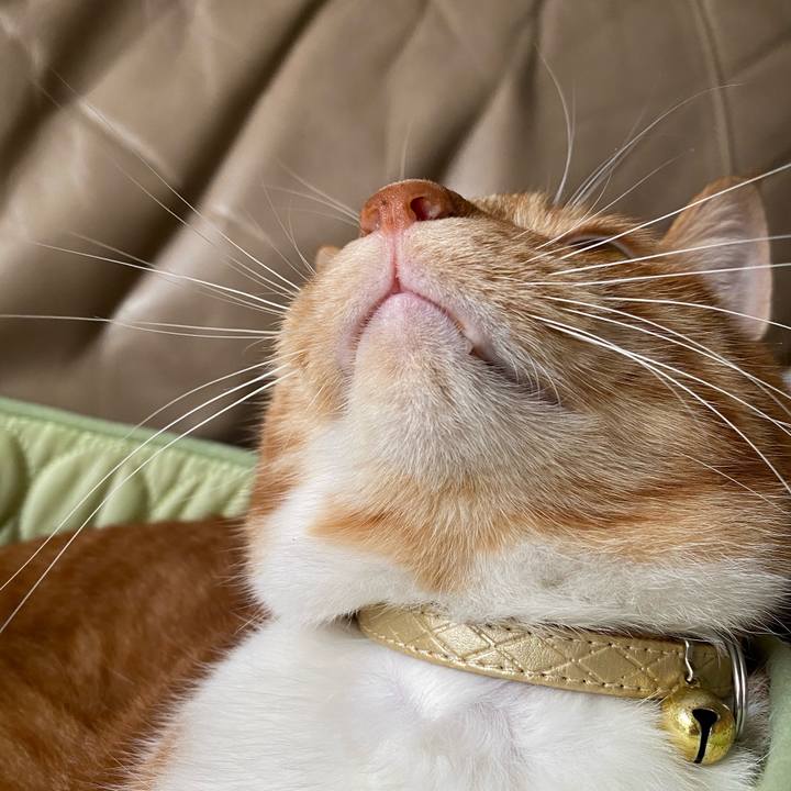 F7ac9504 8ef6 4c11 afba 8f6dc90ed411 1596874627495