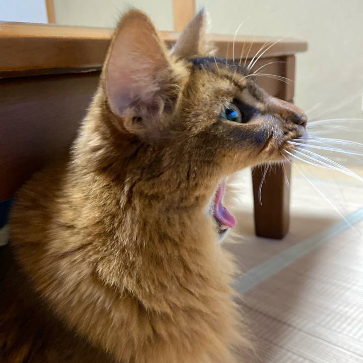 F7ac98a9 000a 41d4 ae47 649b79e35c0a 1656381946768