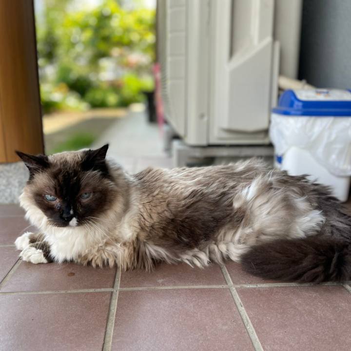 F7acbd17 ee61 4d81 97bc 01903e1a36bc 1622458054904