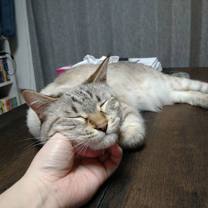 F7acfb25 89ae 4440 b6e9 eca2d250a47a 1693656196752