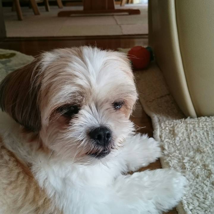 F7ad0614 b862 495c 9cb9 d570a55f03cb 1507609919244