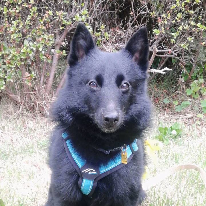 F7ad19eb 38ff 4aef 9ea1 1d30d8f95be6 1655674292922