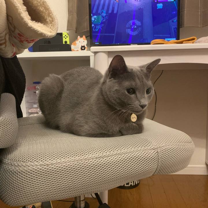 F7ad82da 8383 419c 8a1c 97af04473da2 1604189081344