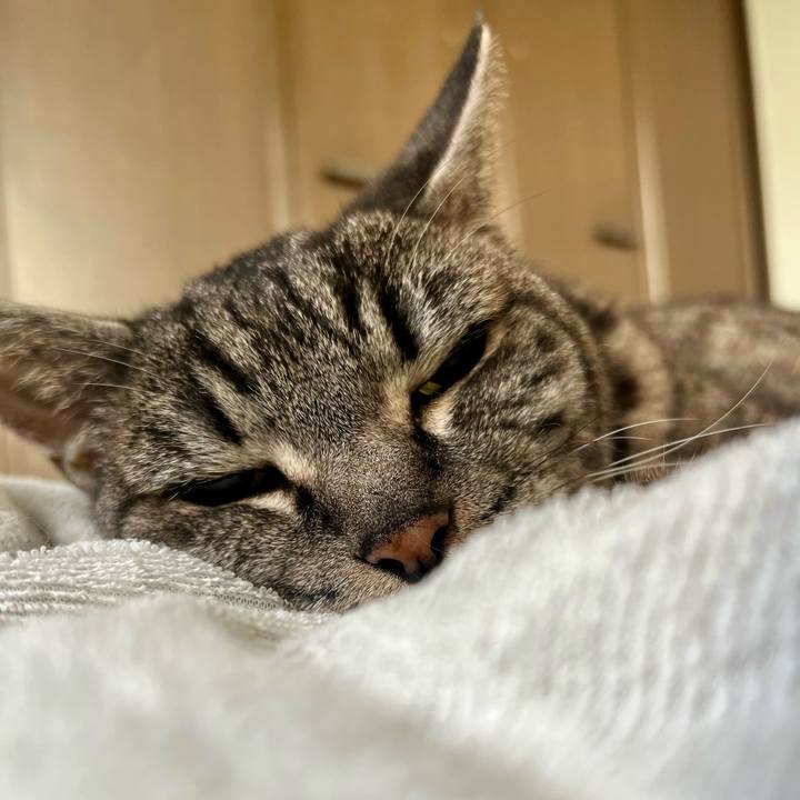 F7add629 4fc8 4894 9622 fdc05f31531a 1758623544748