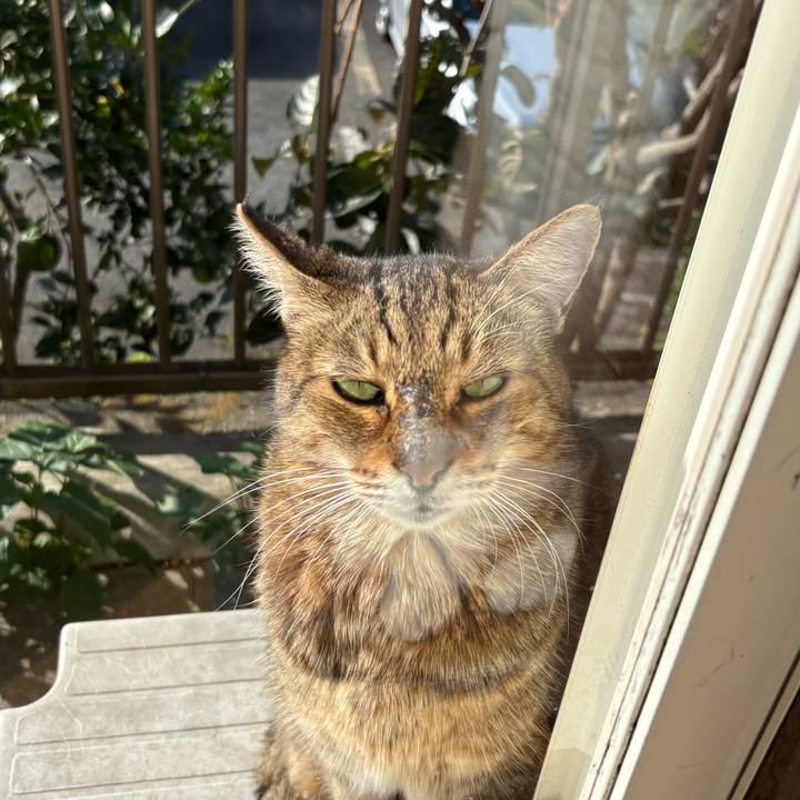 F7adffc7 6dd2 4b60 a122 40c290098c76 1762131824988