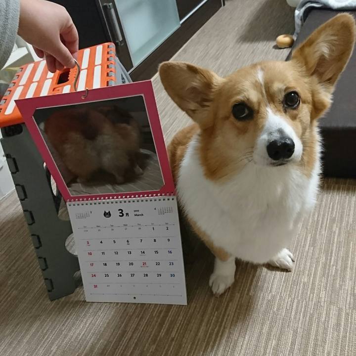 F7ae0ae3 61c6 4f79 a014 d0b2fb5619af 1551537381984