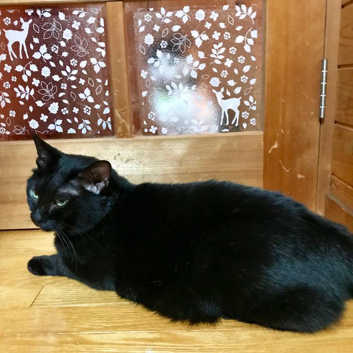 F7ae16a1 4918 4e7a b9a8 06fd36813eac 1539699308244