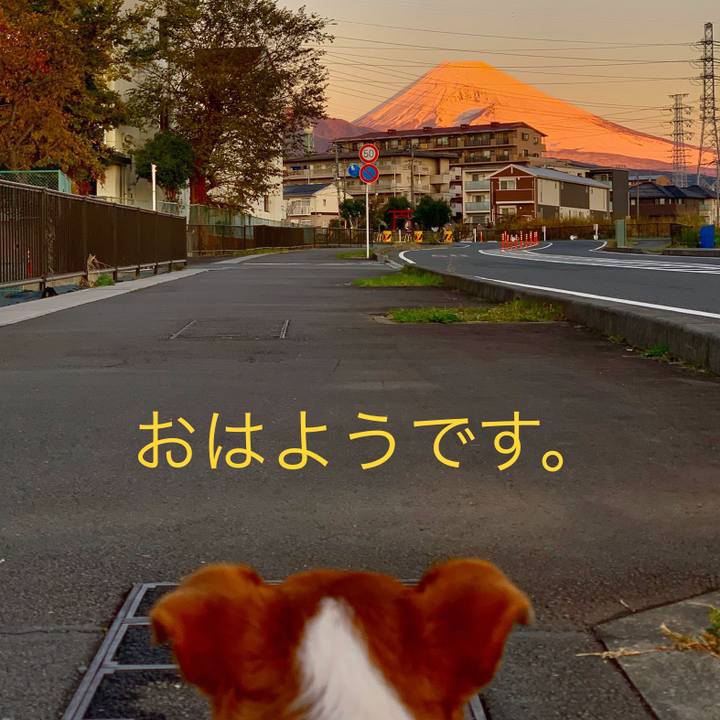 F7ae2ae5 ccfd 4959 8e1f 9934681a44bc 1575067989839
