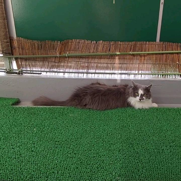 F7ae31eb 496a 4db4 ae3b 0351f2fea50c 1742729896663