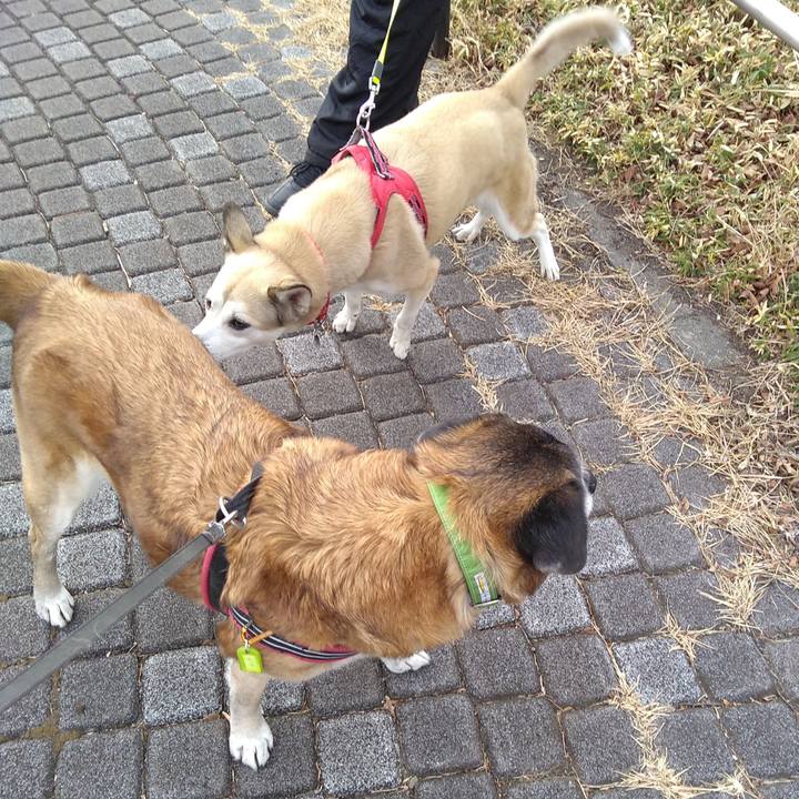 F7ae5603 b43e 4457 9815 541c7880f9f0 1549410562059