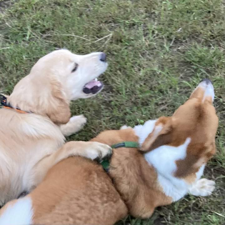 F7ae5a66 dd69 4eea ae09 62037fa5ce60 1699614509688